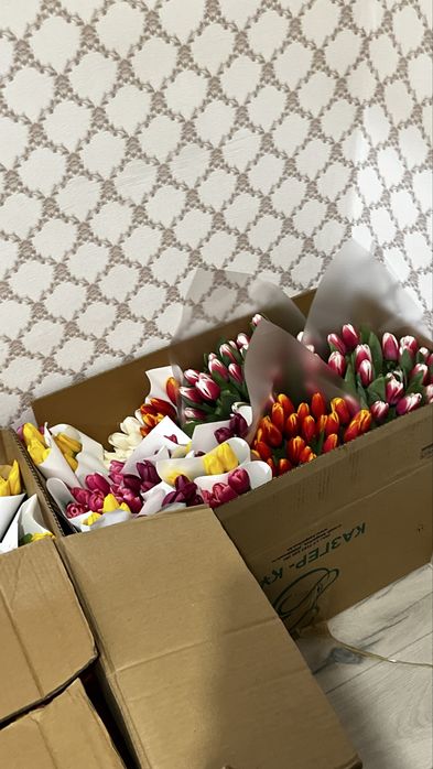 Тюльпаны конкретные