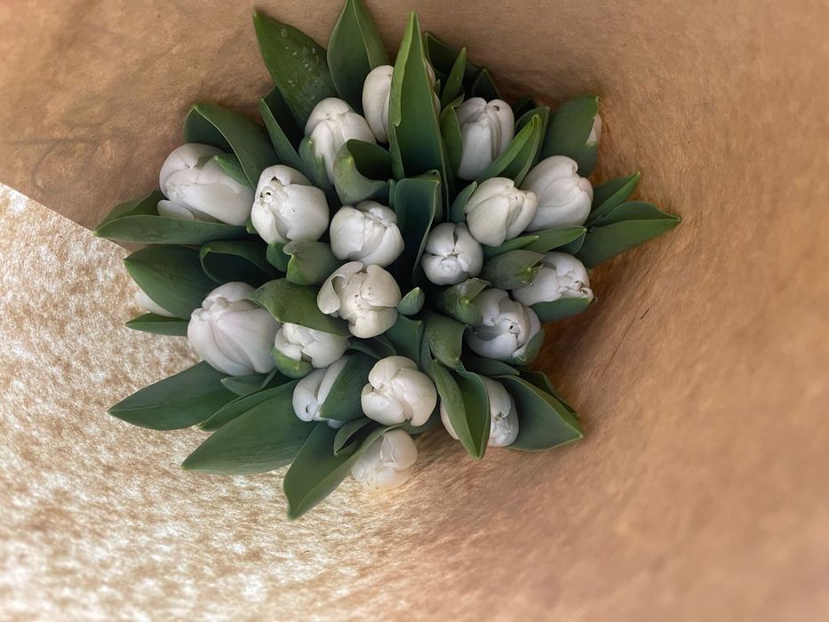 Тюльпаны жезгазган рефрижератор