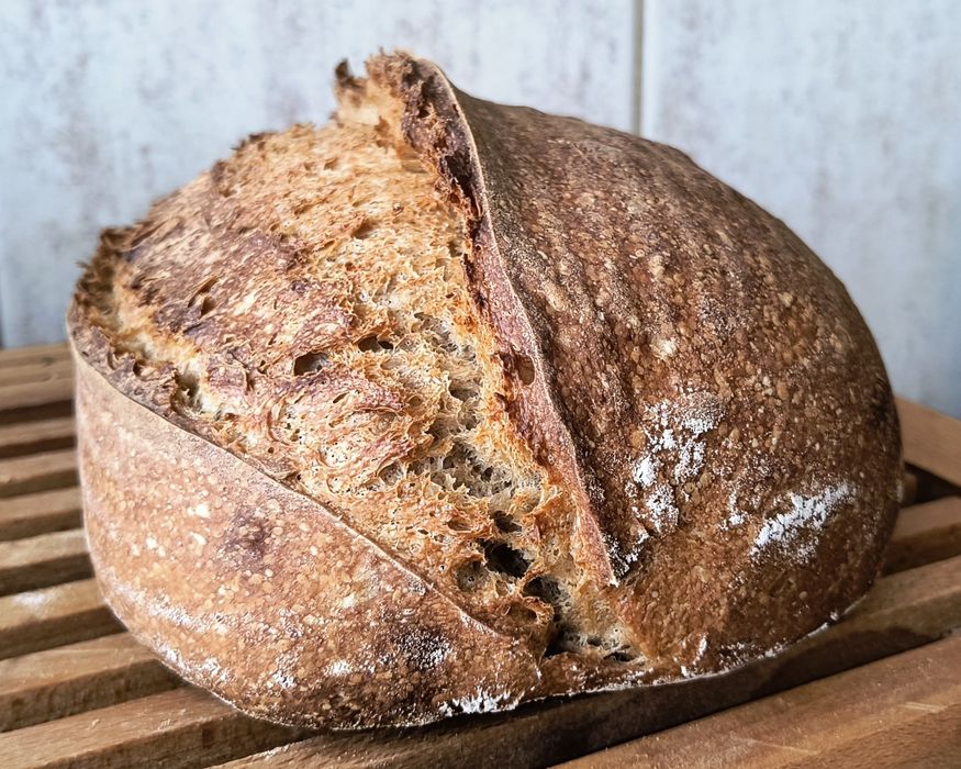 3 x Maia sălbatică pentru pâine Italia 2020, și pasta madre, rețetă