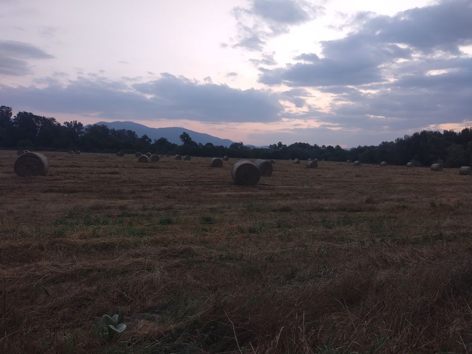 Бали слама малки и ролонни