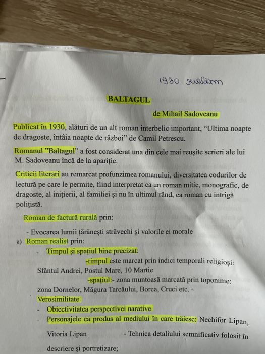 Rezumate si scheme personalizate si eseuri pentru toate operele de bac