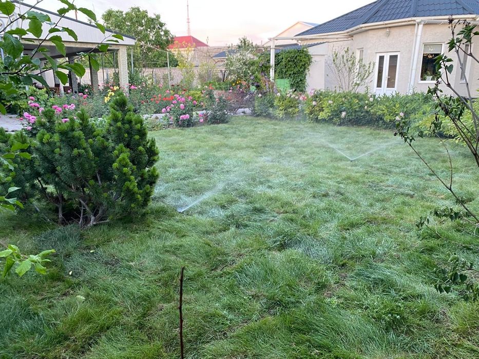 Рулонный газон джонсас