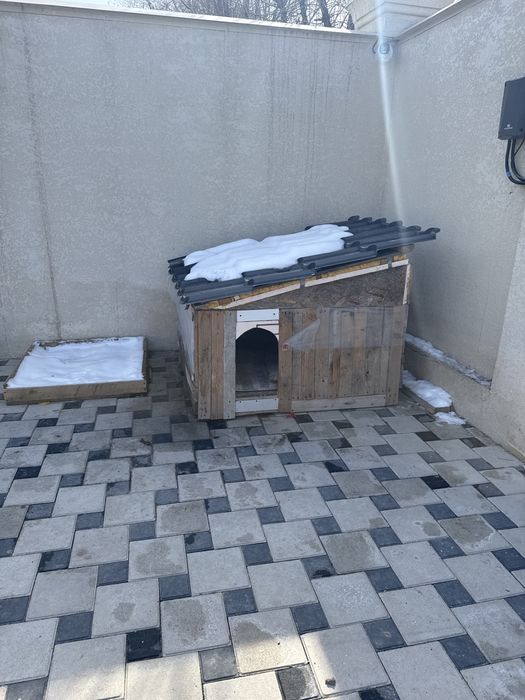 Отдам будку бесплатно