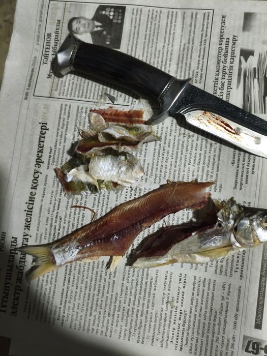 Кепкен рыбец свежий