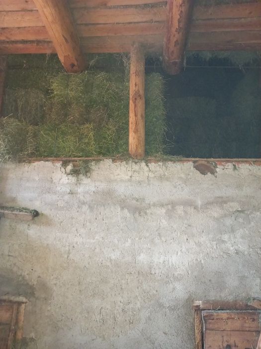 Baloți de fân, otavă și lucernă