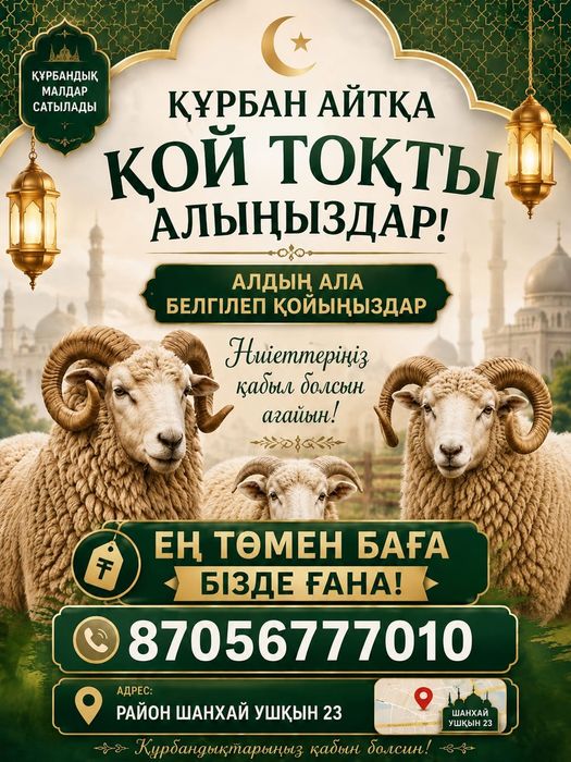Кол жетимди багада коилар бар
