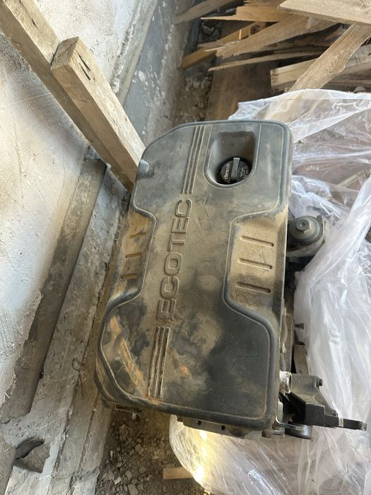 Wevralet kaptiva mai jemidi