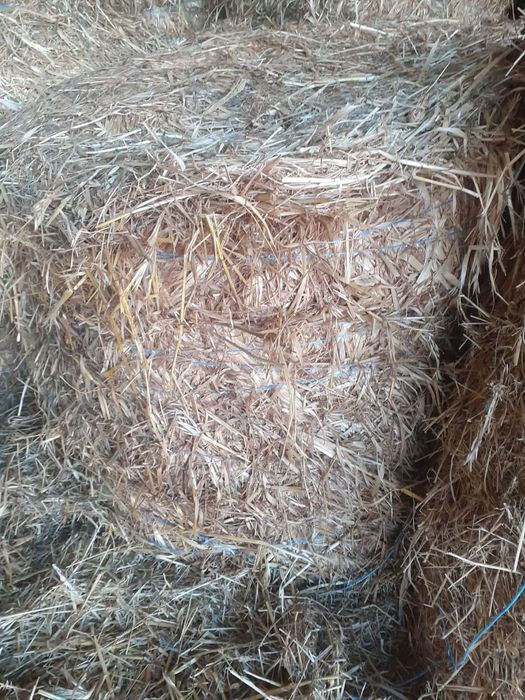 Vând baloti de lucernă cu ovăz și lucernă