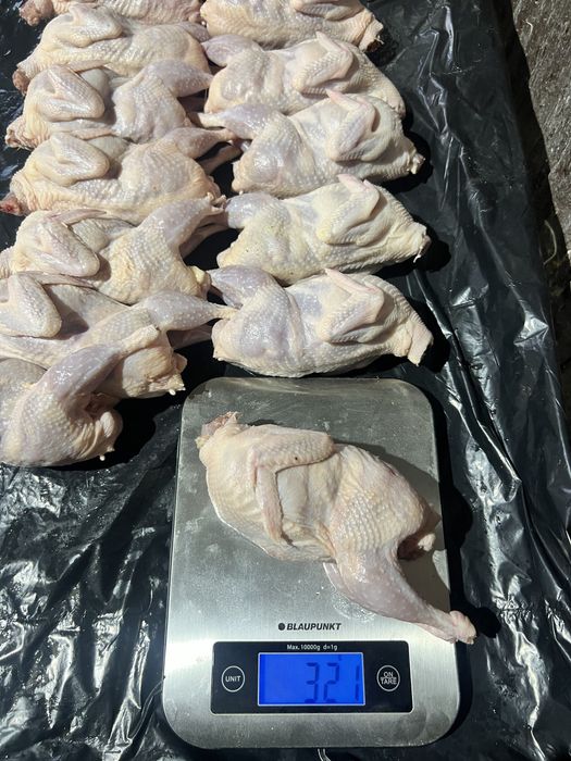 Перепелка мясо, яйцо