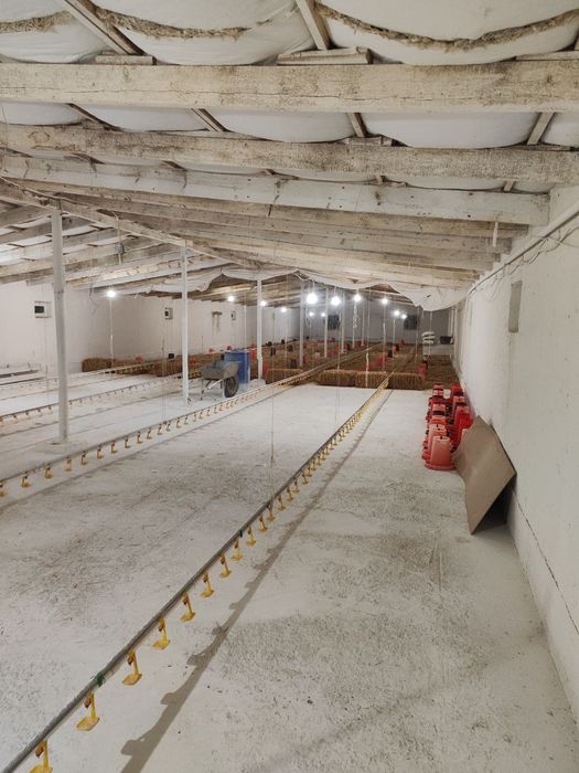 Broller boqiladigan tovuqhona sotiladi