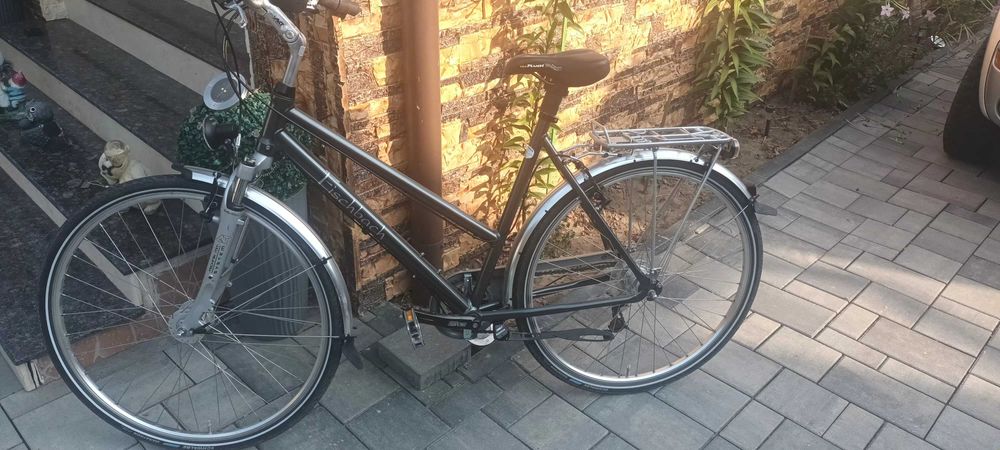 Bicicleta Fischbach