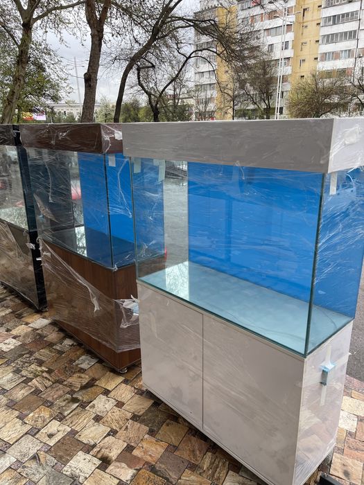 New Akvarium new Dizayn