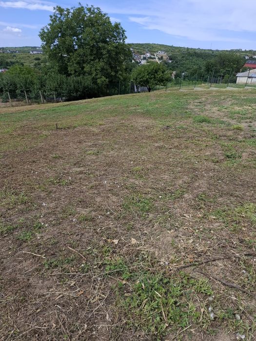Teren intravilan Bucium