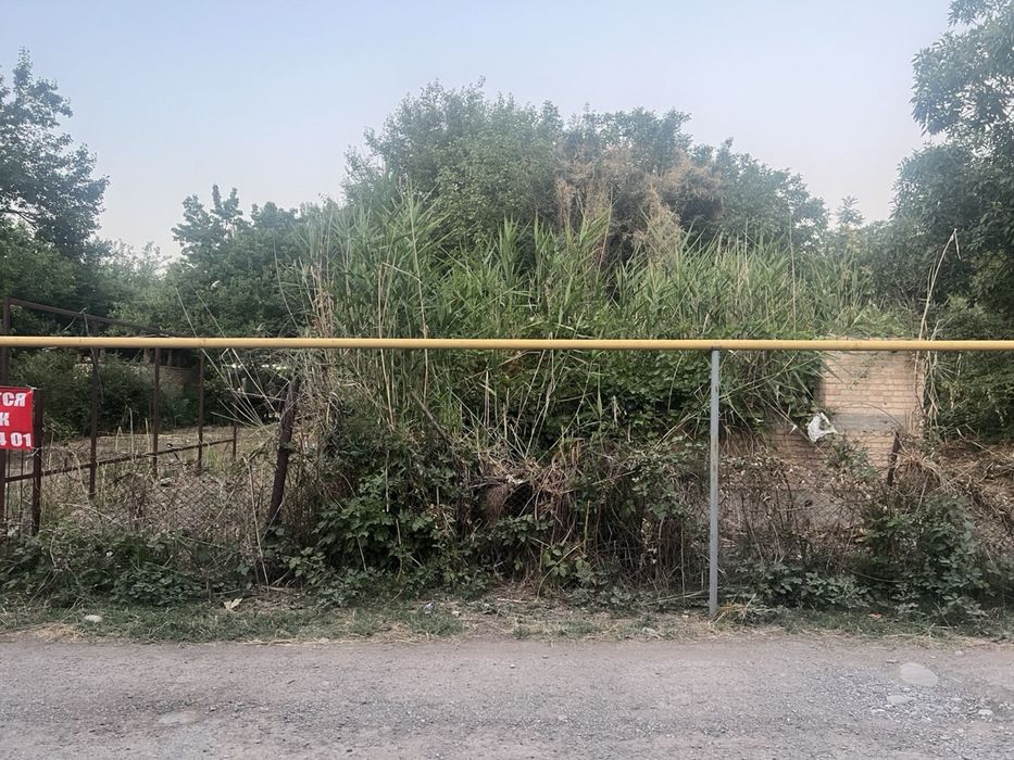 Dala xo’vli Qibray