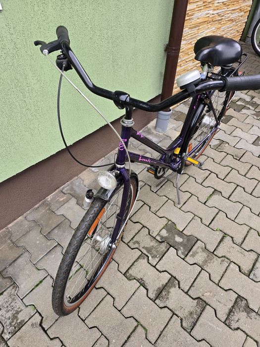 Biciclete     Mountain bike