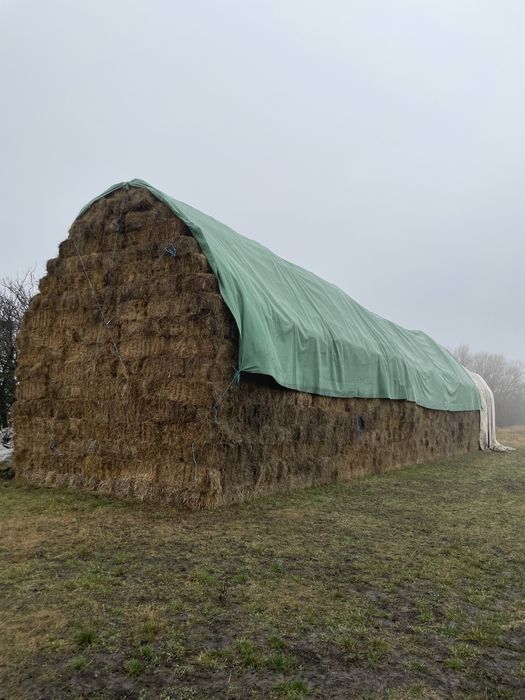 Vând 4000 de baloții de fân