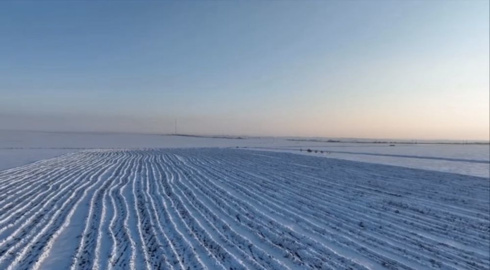 Продаётся земля сельхозназначения - пашня