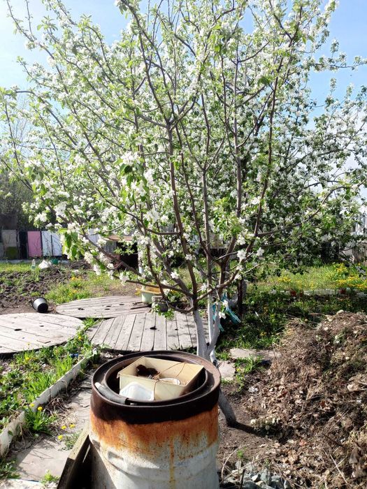 Продам дачу сад мелиаратор