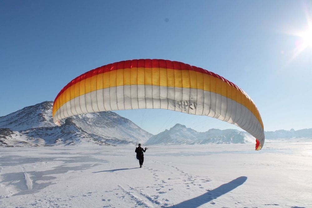 Параплан alligator