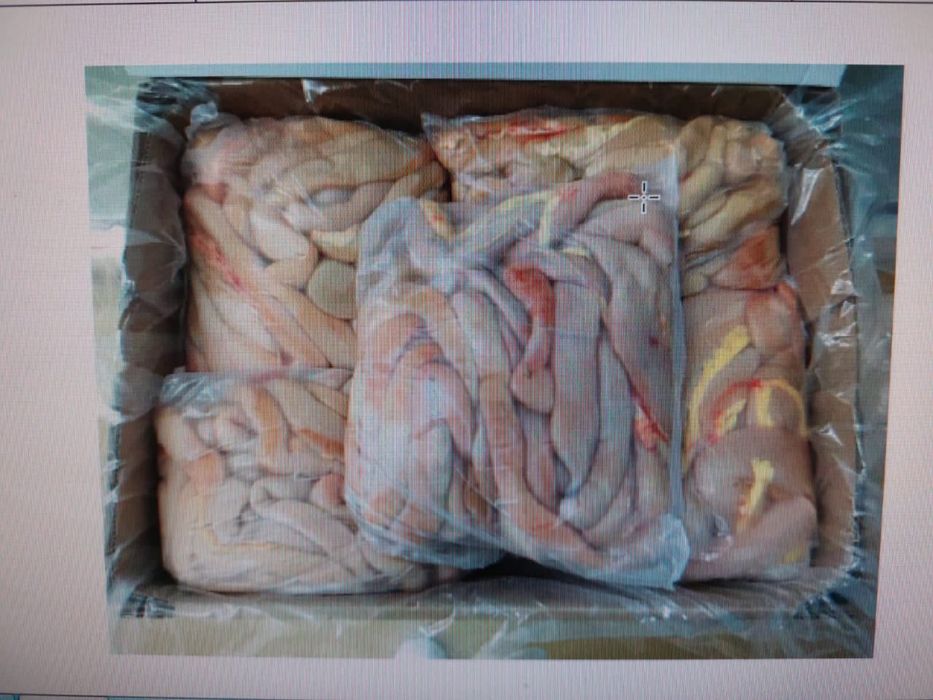 Кишка конская уругвай