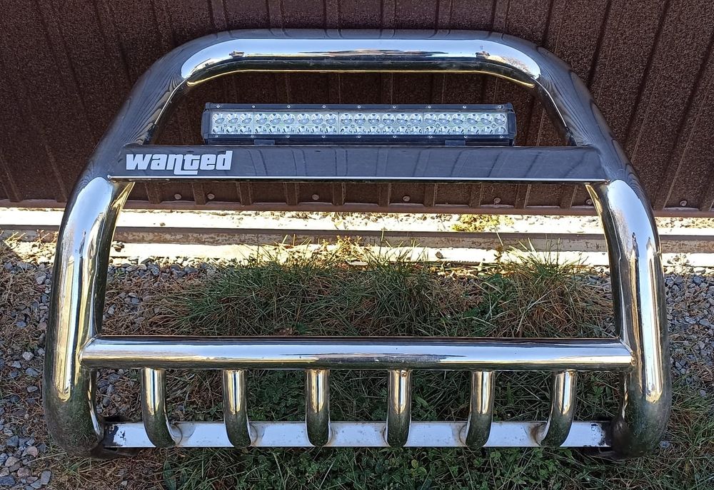 Кенгурятник Прадо