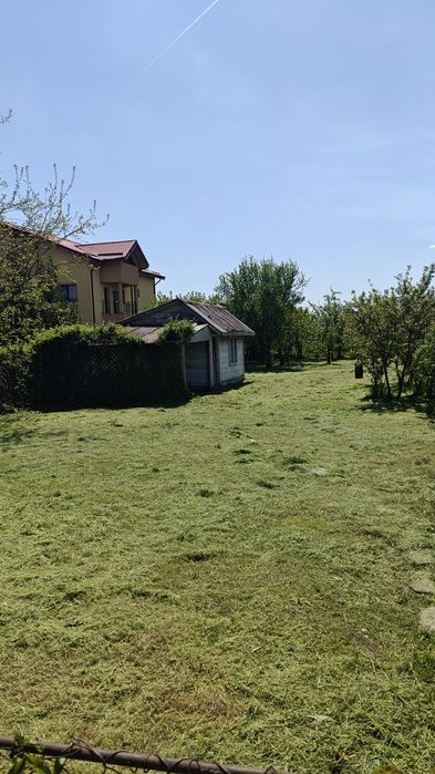Servicii de tuns gazonul și defrișat terenuri