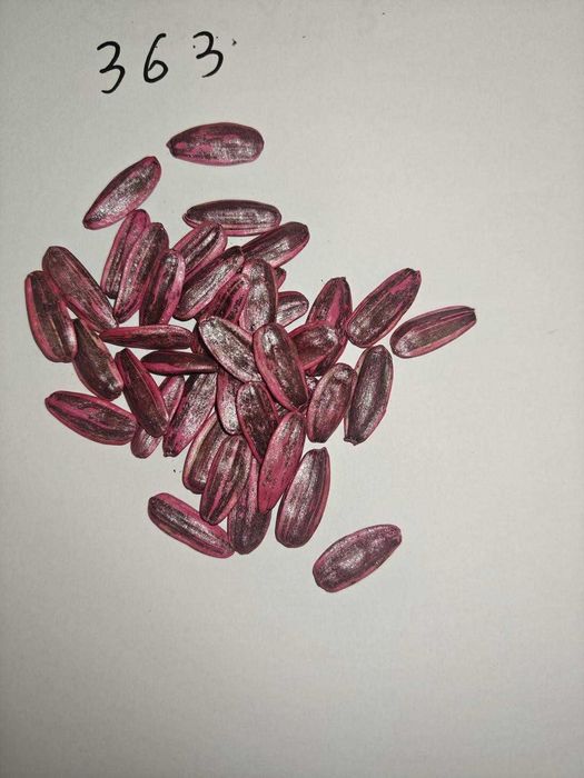 Семена подсолнечника