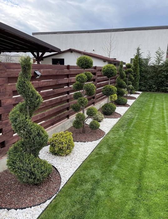 Tuia/thuja smaragd/leyland, catalpa, pin