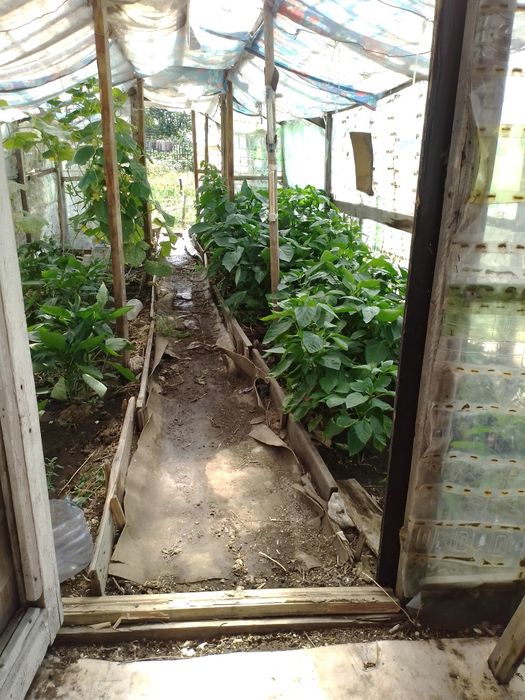 Продается дача "Жемчужина"