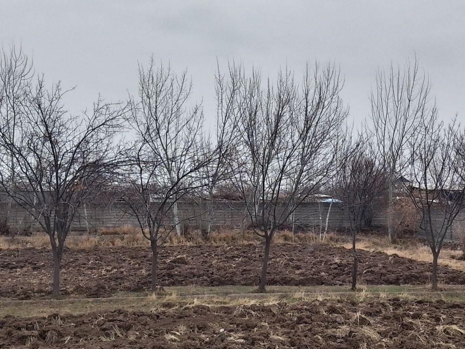 Ер участок сотилади