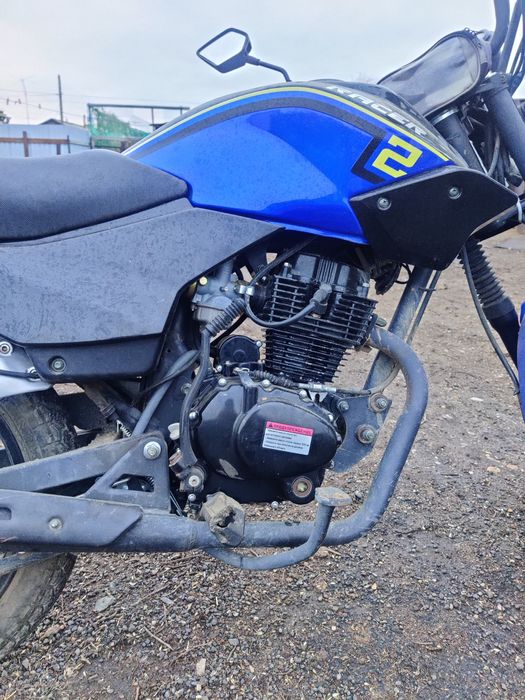 Racer tiger 150 кубов. Торг