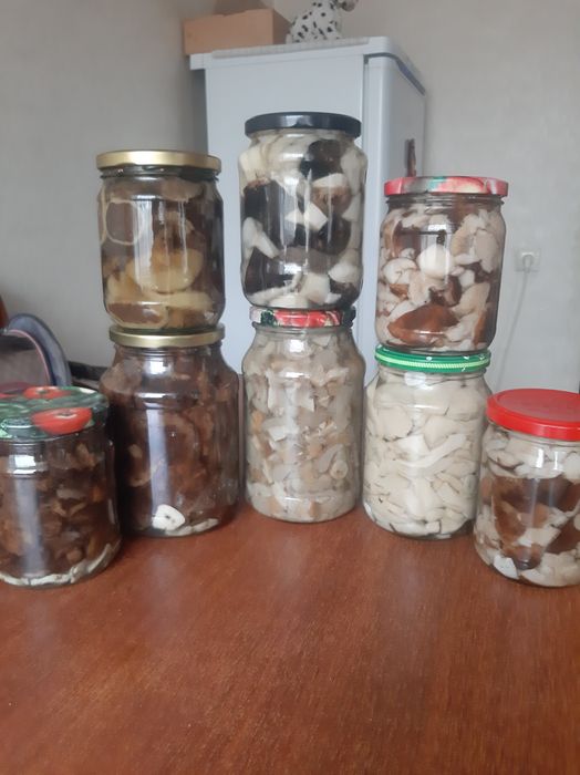 Продам грибы: разных видов