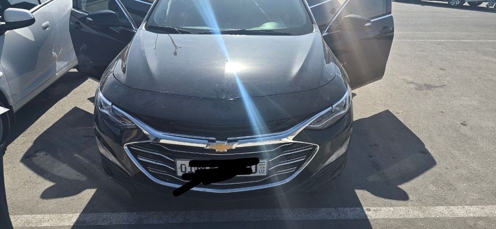 Malibu premier arendaga