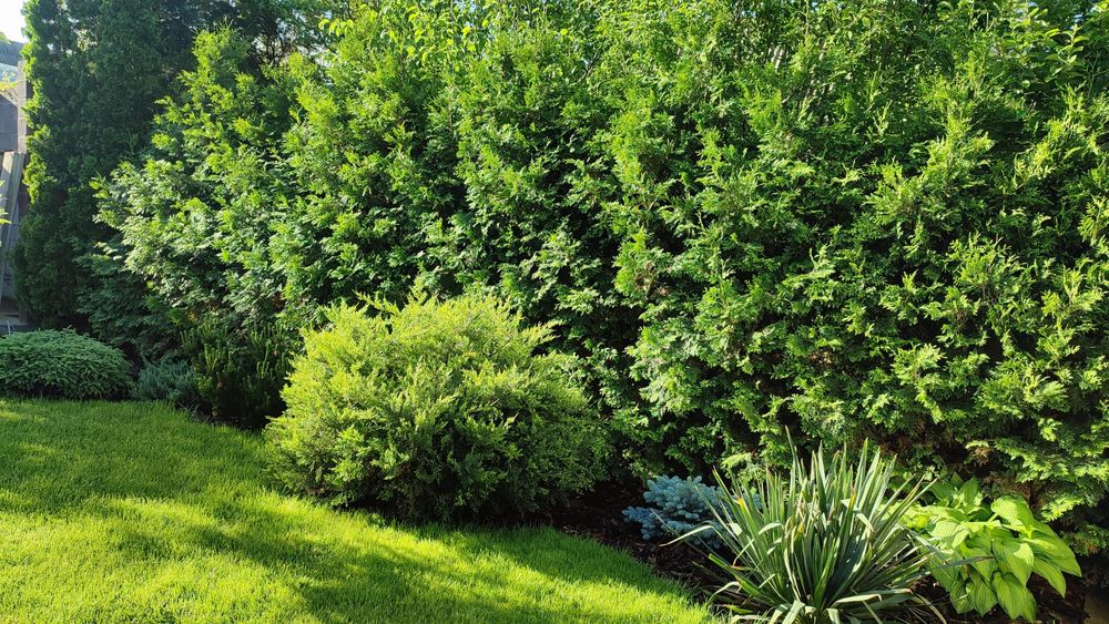 Продам дом в дачном массиве