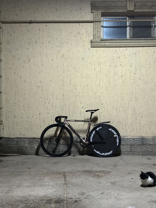 Фикс Цунами сатылады