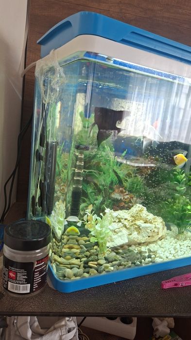 Аквариум за рибки оборудван!