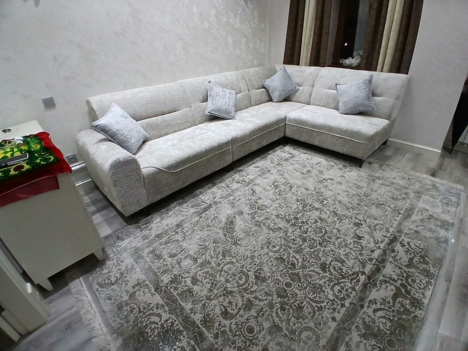 Myaxkiy remont restavratsiya