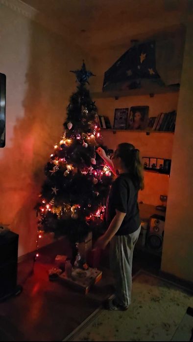 Елка, высота 2 метра