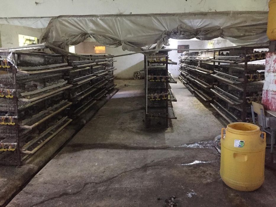 Клетка 4х ярусный