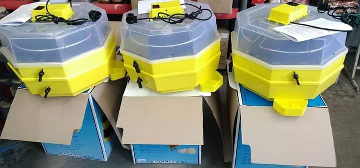 Официален вносител Румънските инкубатори Cleo5