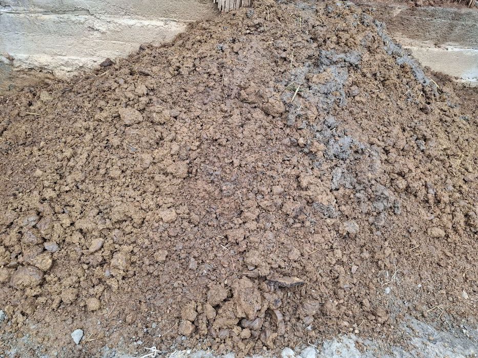 Куримаган чуримаган мол нуриси