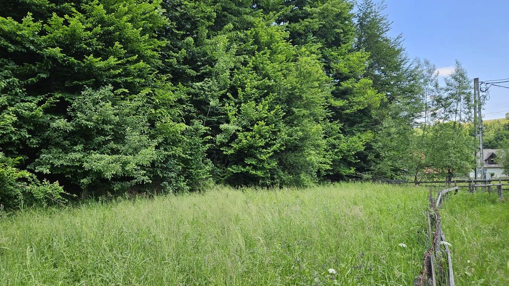 SITA BUZĂULUI – Proprietate deosebită cu teren intravilan 1.600 mp, pârâu, fâneață și pădure