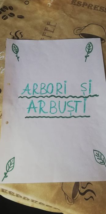 Ierbar școlar 30 plante