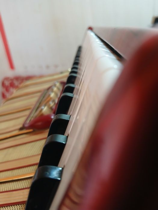 Acordeon hohner carena 3