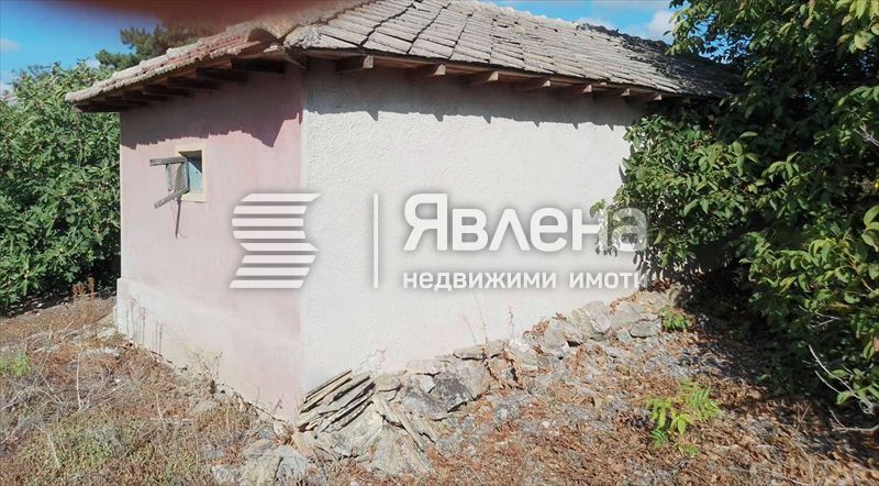 Къща с голям двор