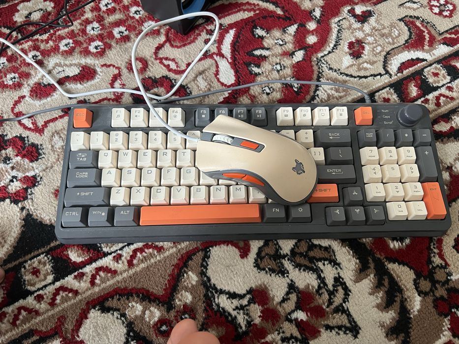 Klavyatura meshka ,kalonka