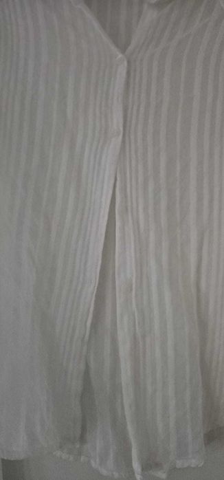 Camasa alba in, Mango