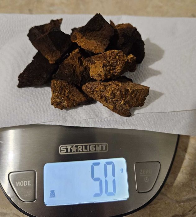 Ciupercă Chaga de mesteacan - 100% naturală, uscată, gata de utilizare