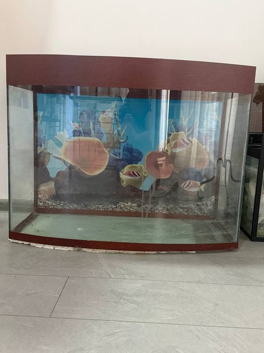 Продается аквариум 100л.