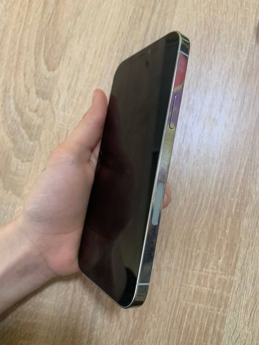 Iphone 12 pro silver